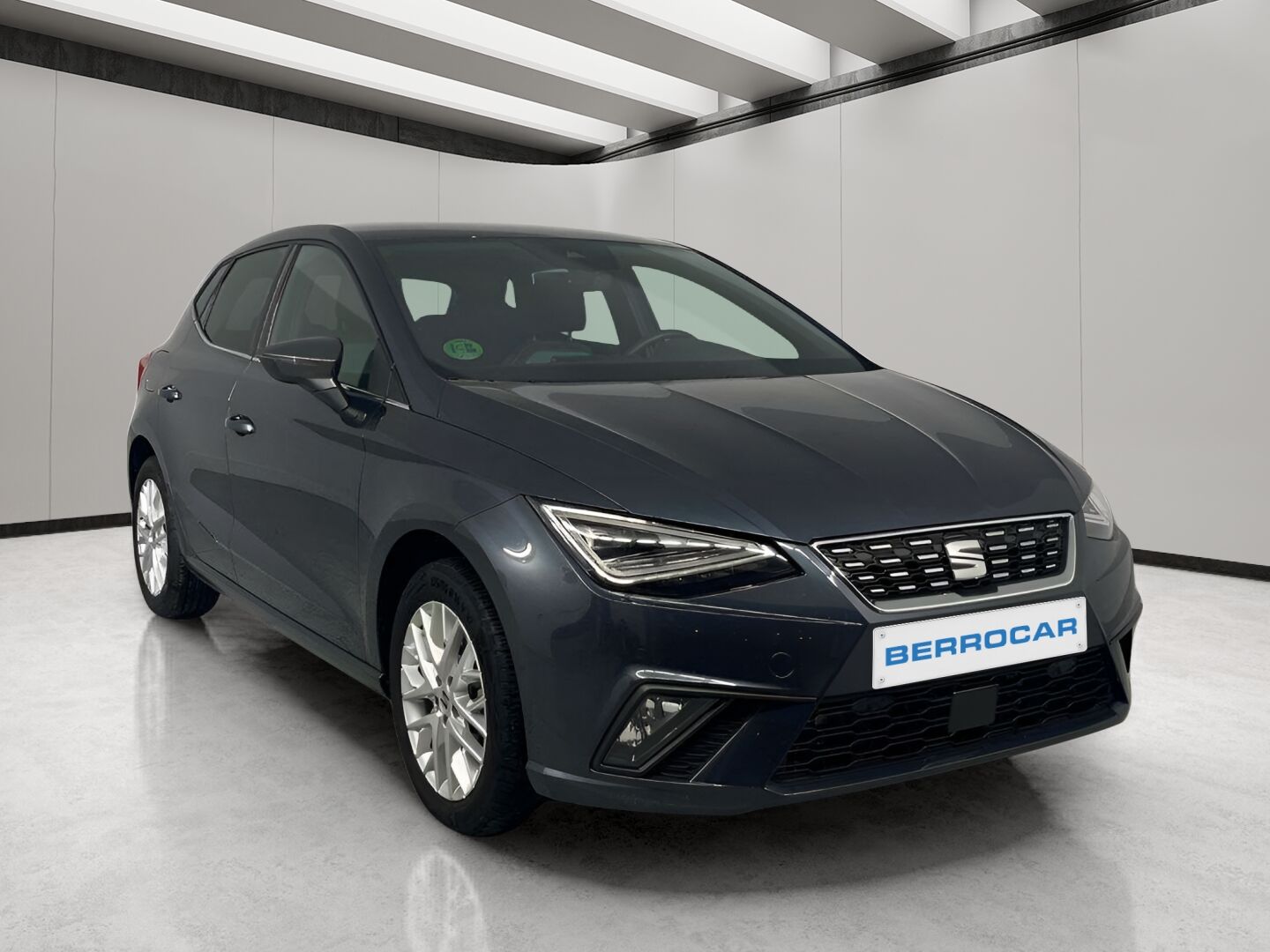 SEAT Ibiza (1.0 TSI S&S Special Edition Xcellence 85 kW (115 CV)) en Sevill