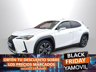 Imagen de LEXUS UX 250h Business 4WD