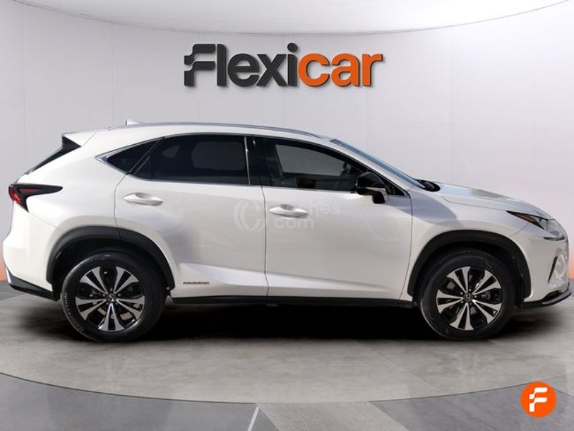 Foto del LEXUS NX 300h Business 2WD