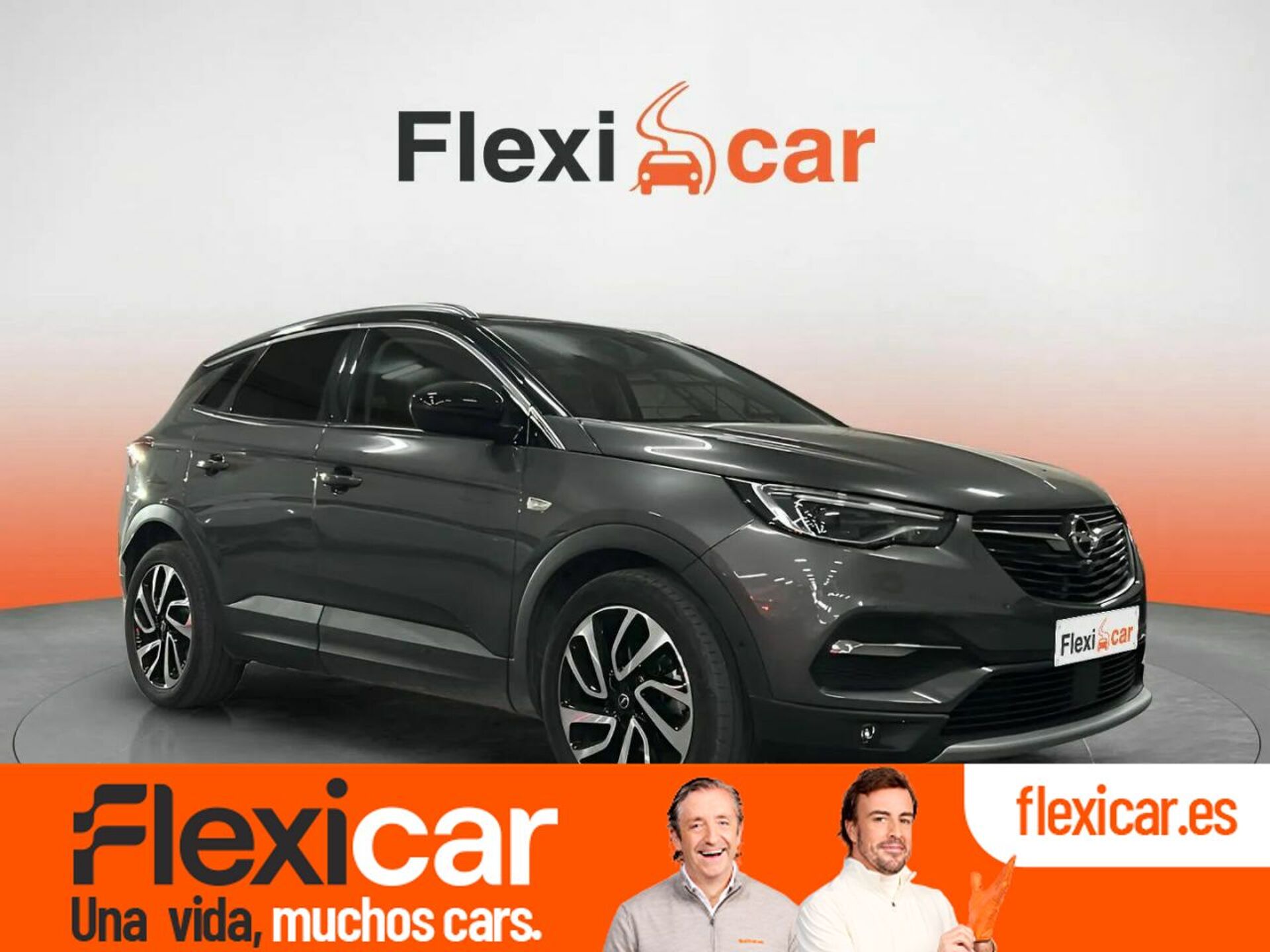 Imagen de OPEL Grandland X
