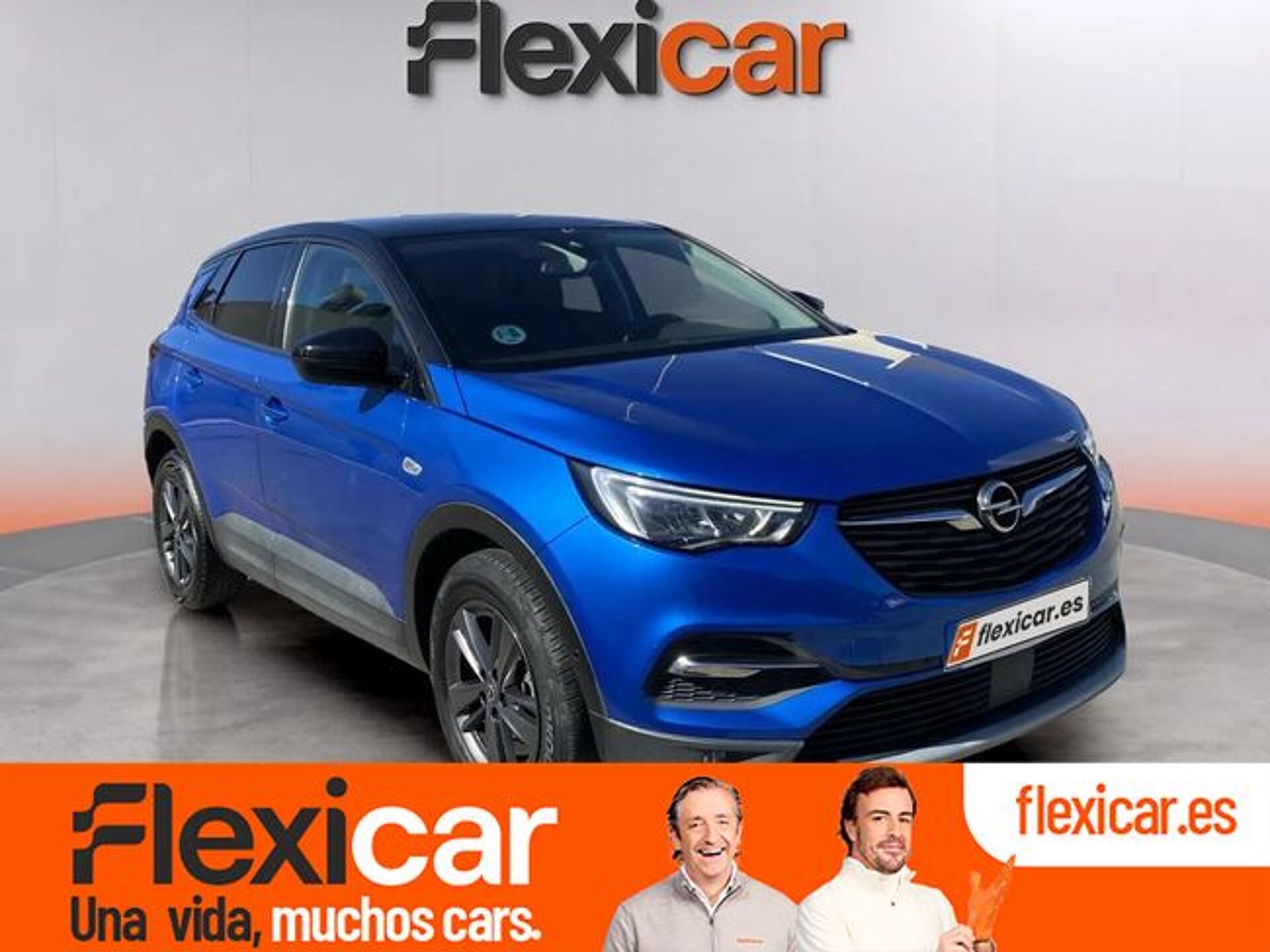 Imagen 1 de OPEL Grandland X