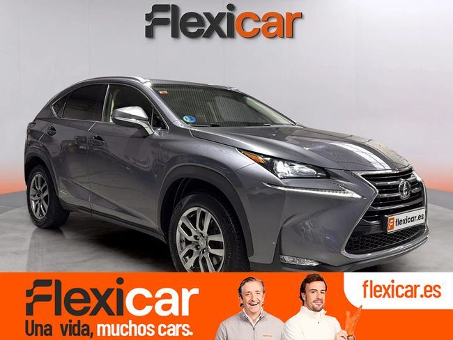 LEXUS NX (2.5 300h Business 2WD) en Navarra