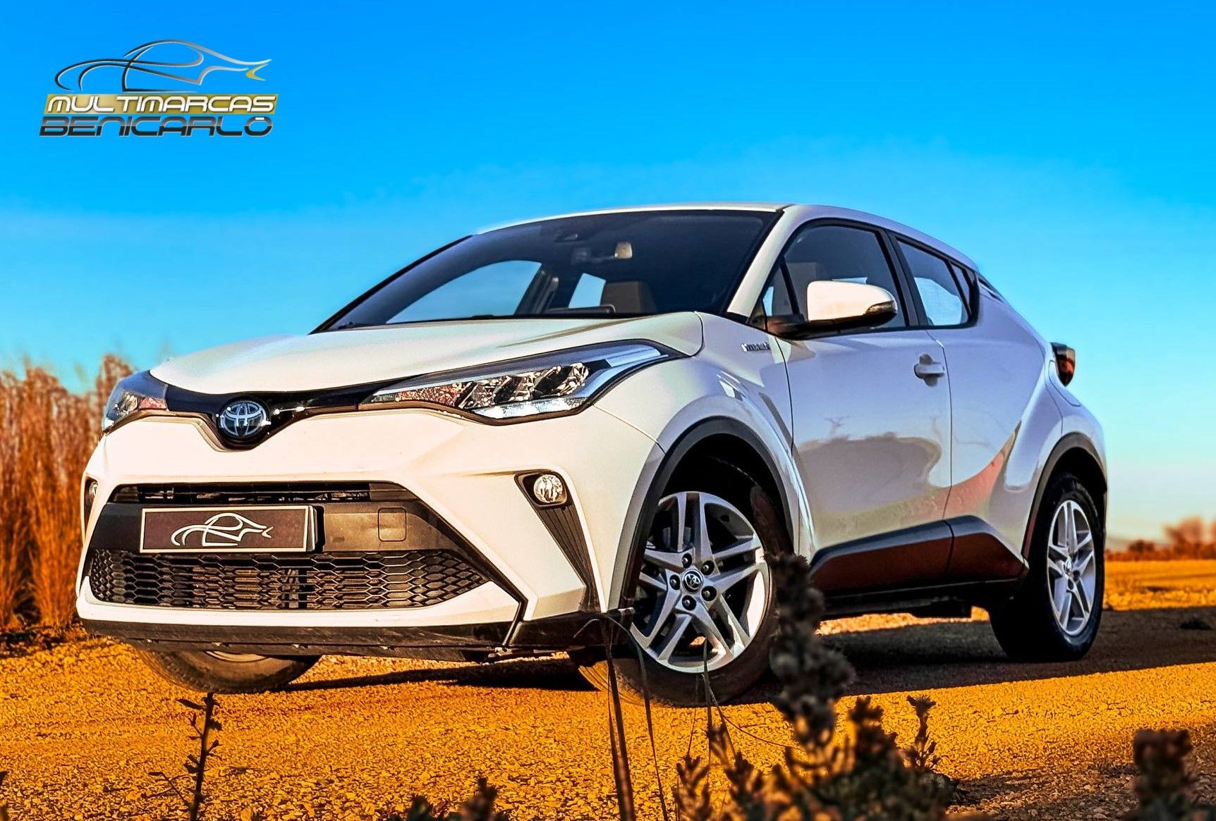 TOYOTA C-HR (125H Active) en Castellón