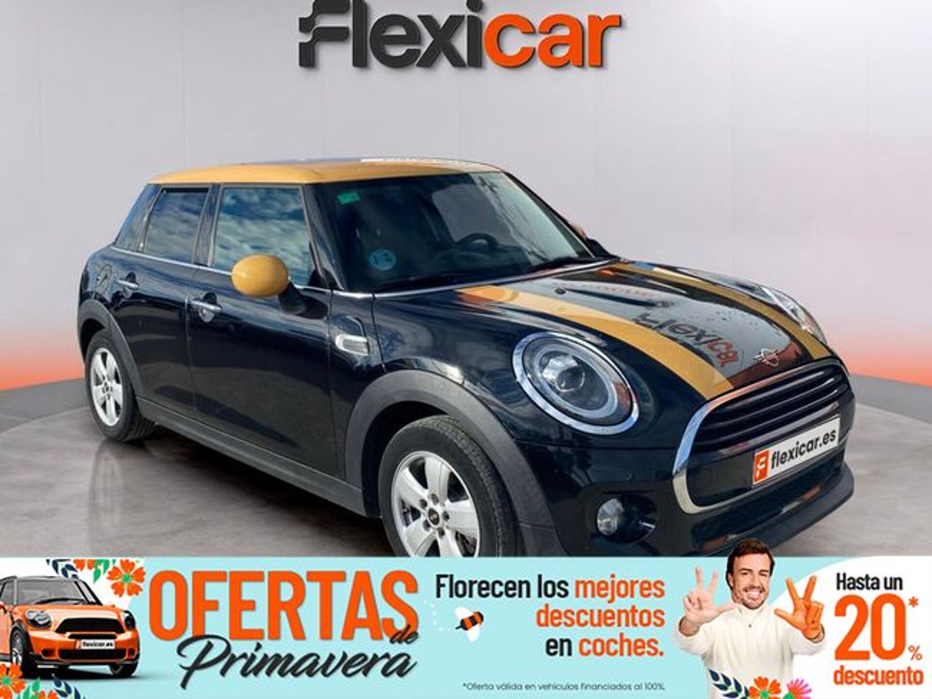 Imagen 1 de MINI Mini