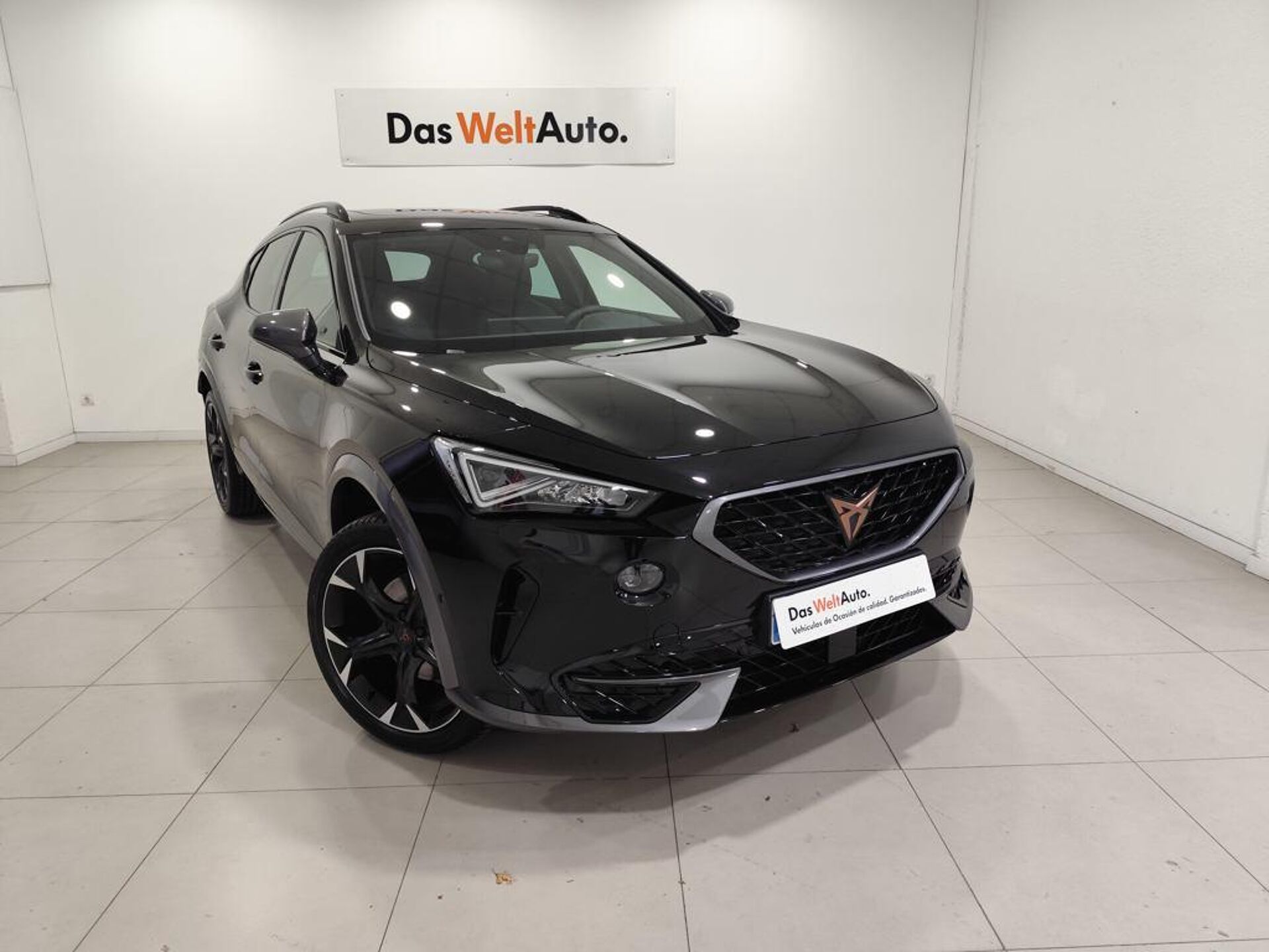 Imagen de CUPRA Formentor