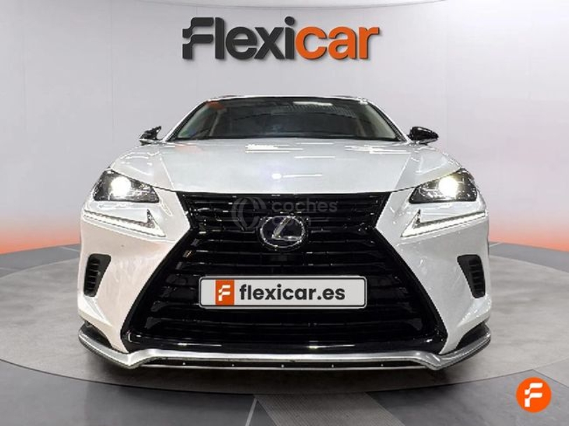 Foto del LEXUS NX 300h Business 2WD