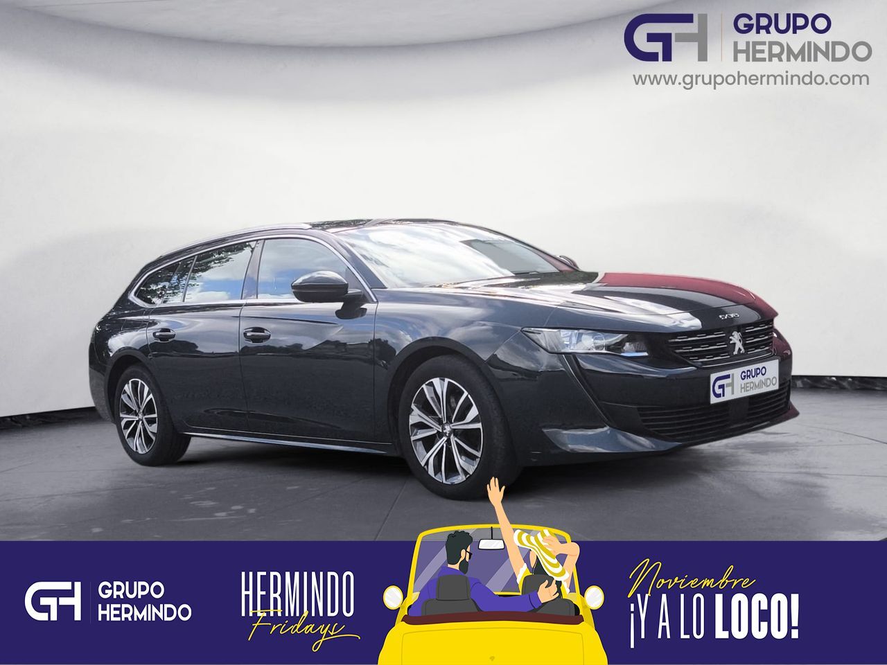 PEUGEOT 508 (SW ACTIVE BLUE HDI 130 CV) en Pontevedra