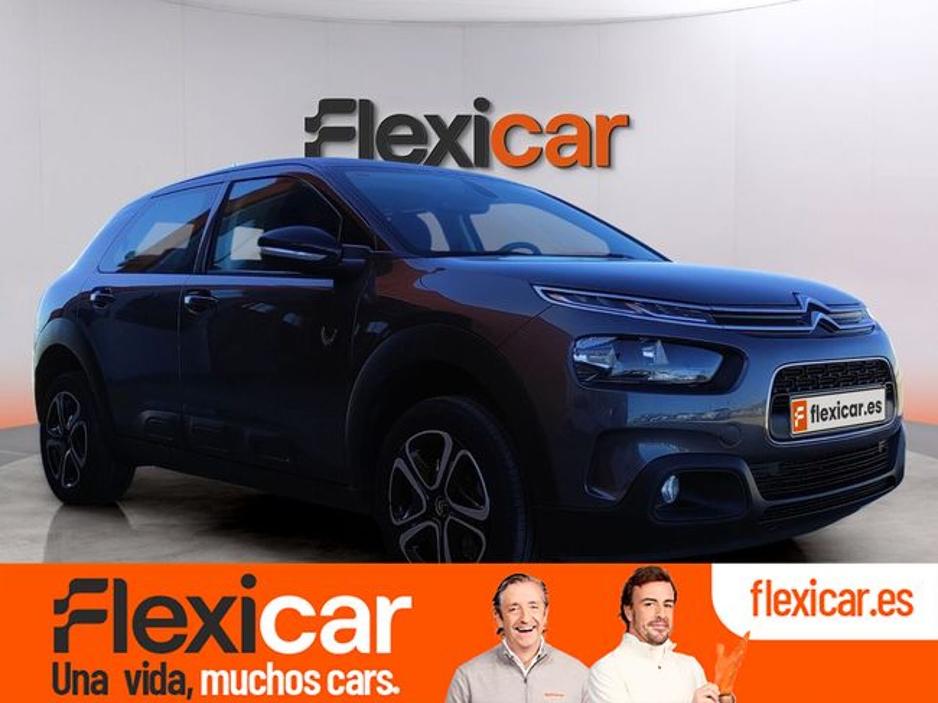 Imagen 1 de CITROEN C4 Cactus