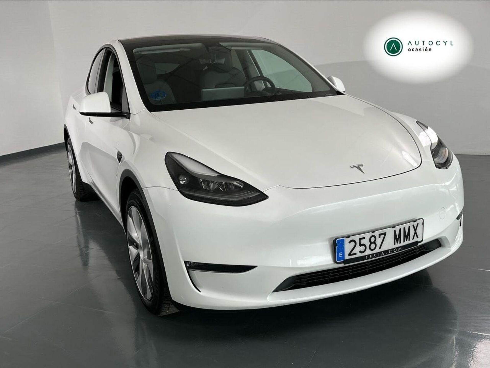 Imagen de TESLA Model Y