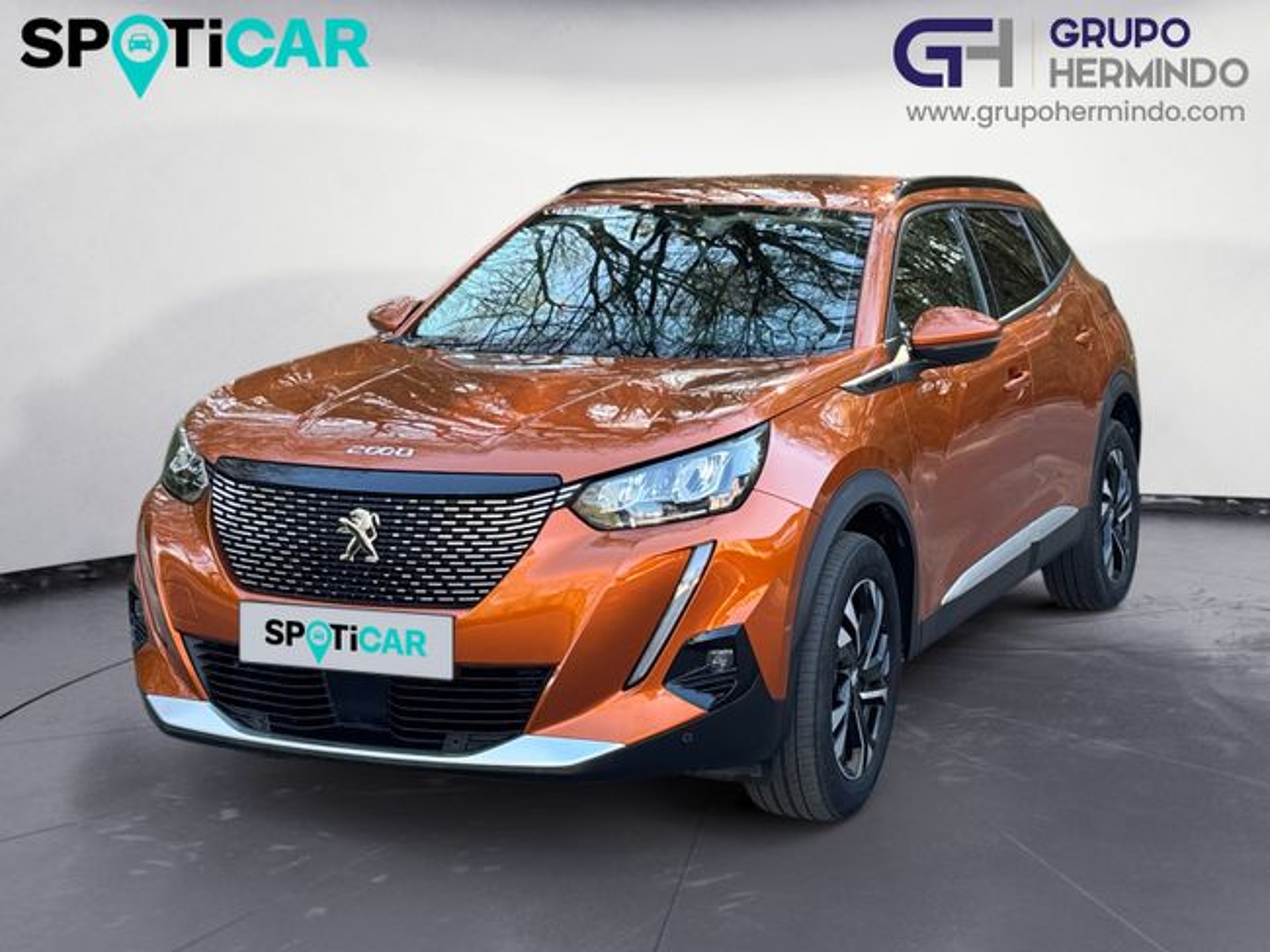 Imagen de PEUGEOT 2008