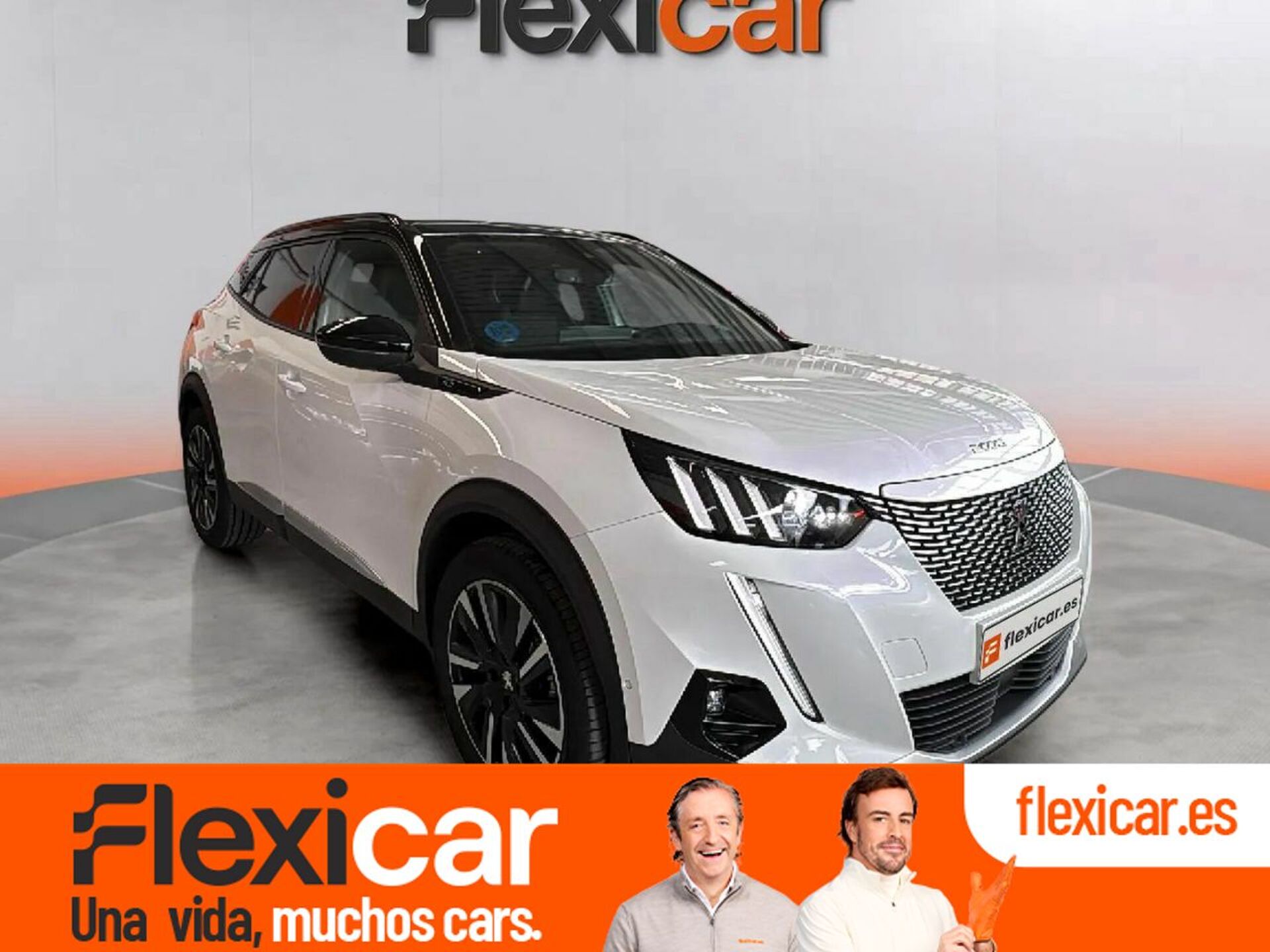 Imagen de PEUGEOT 2008