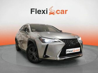 Imagen de LEXUS UX 250h Business 4WD