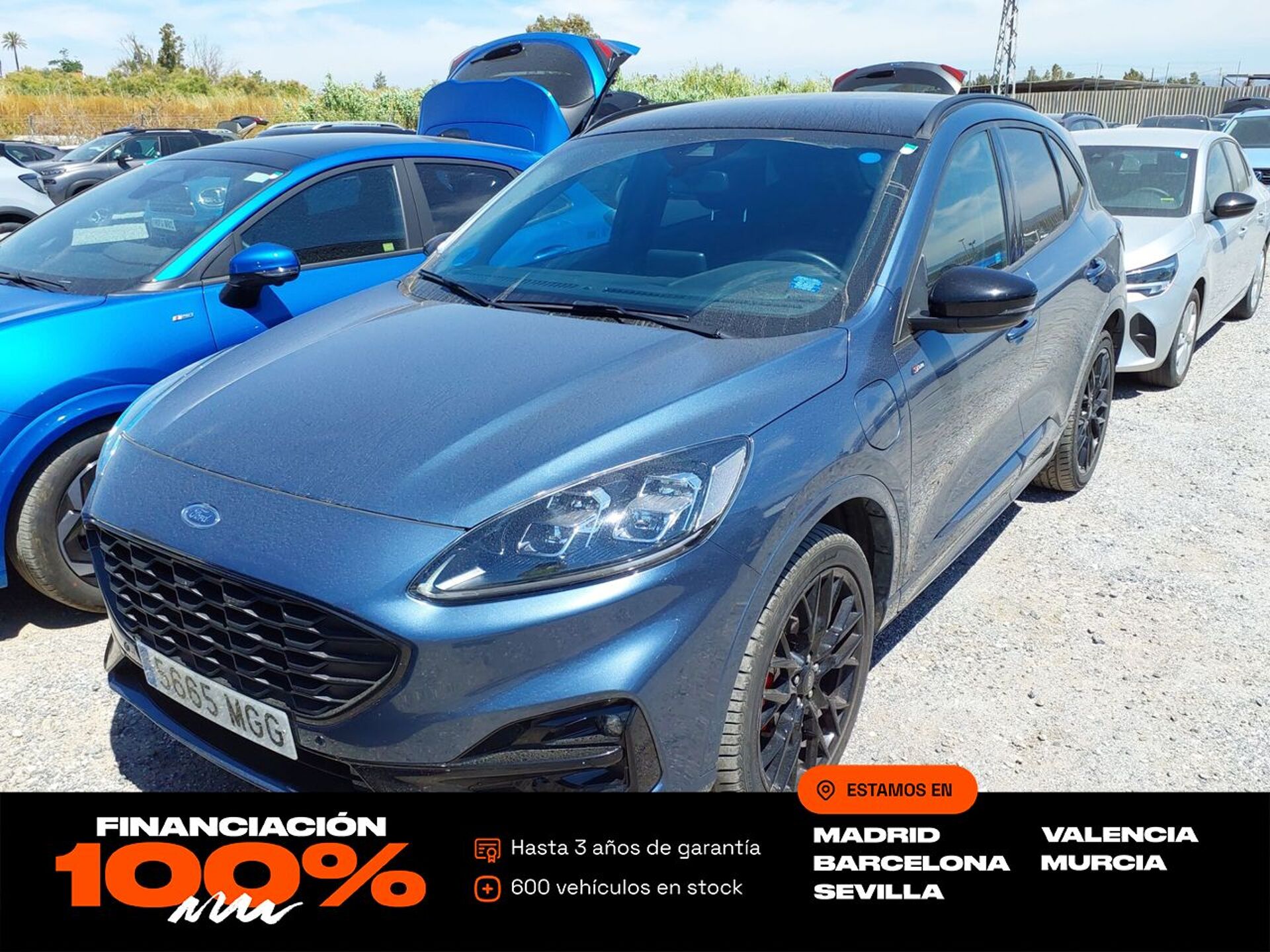 Imagen de FORD Kuga