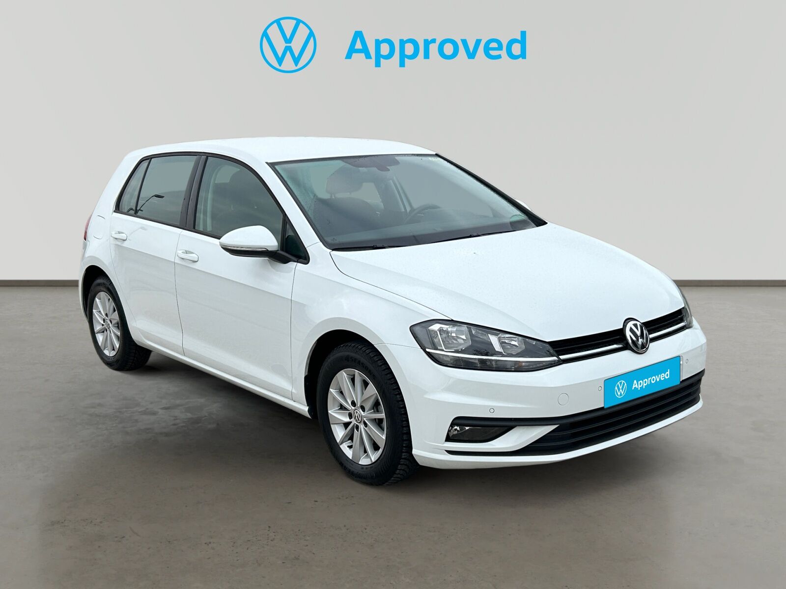 VOLKSWAGEN Golf (1.6 TDI 85KW LAST EDITION 5P) en Navarra