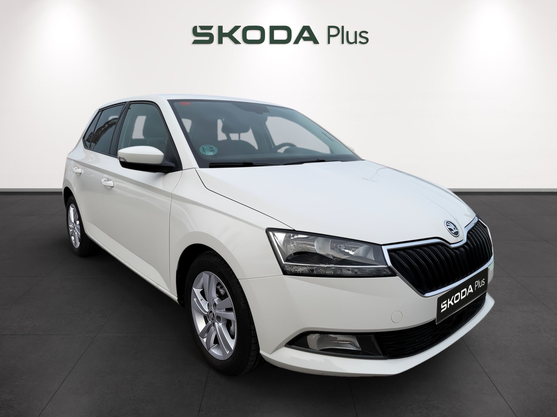 Imagen de SKODA Fabia