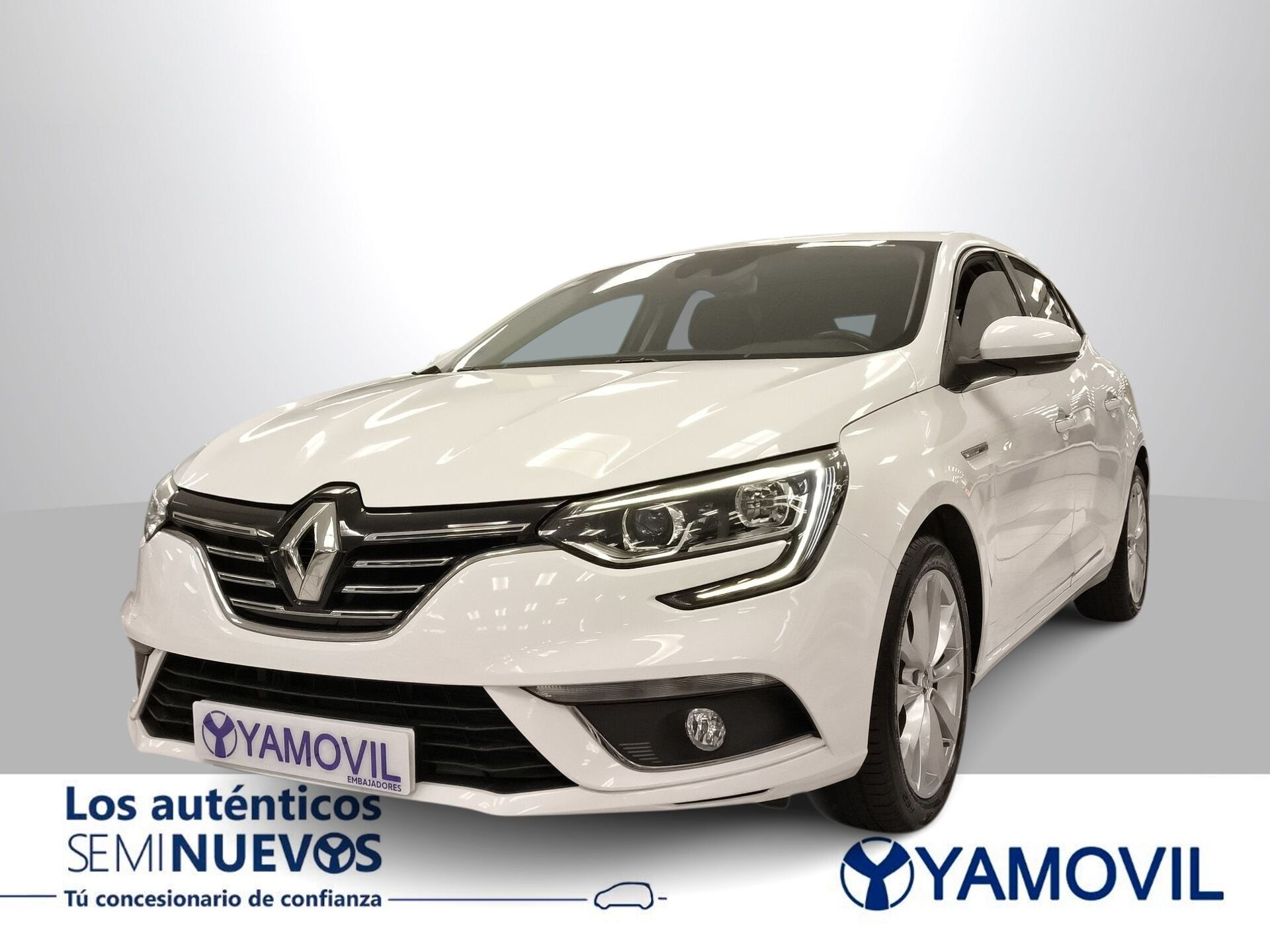Imagen de RENAULT Mégane