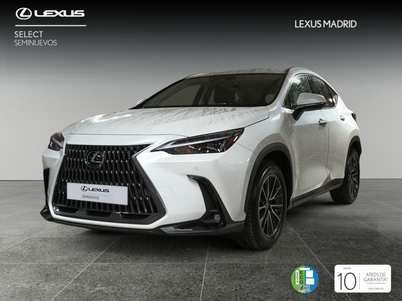 LEXUS NX (350h Business City 2WD) en Madrid