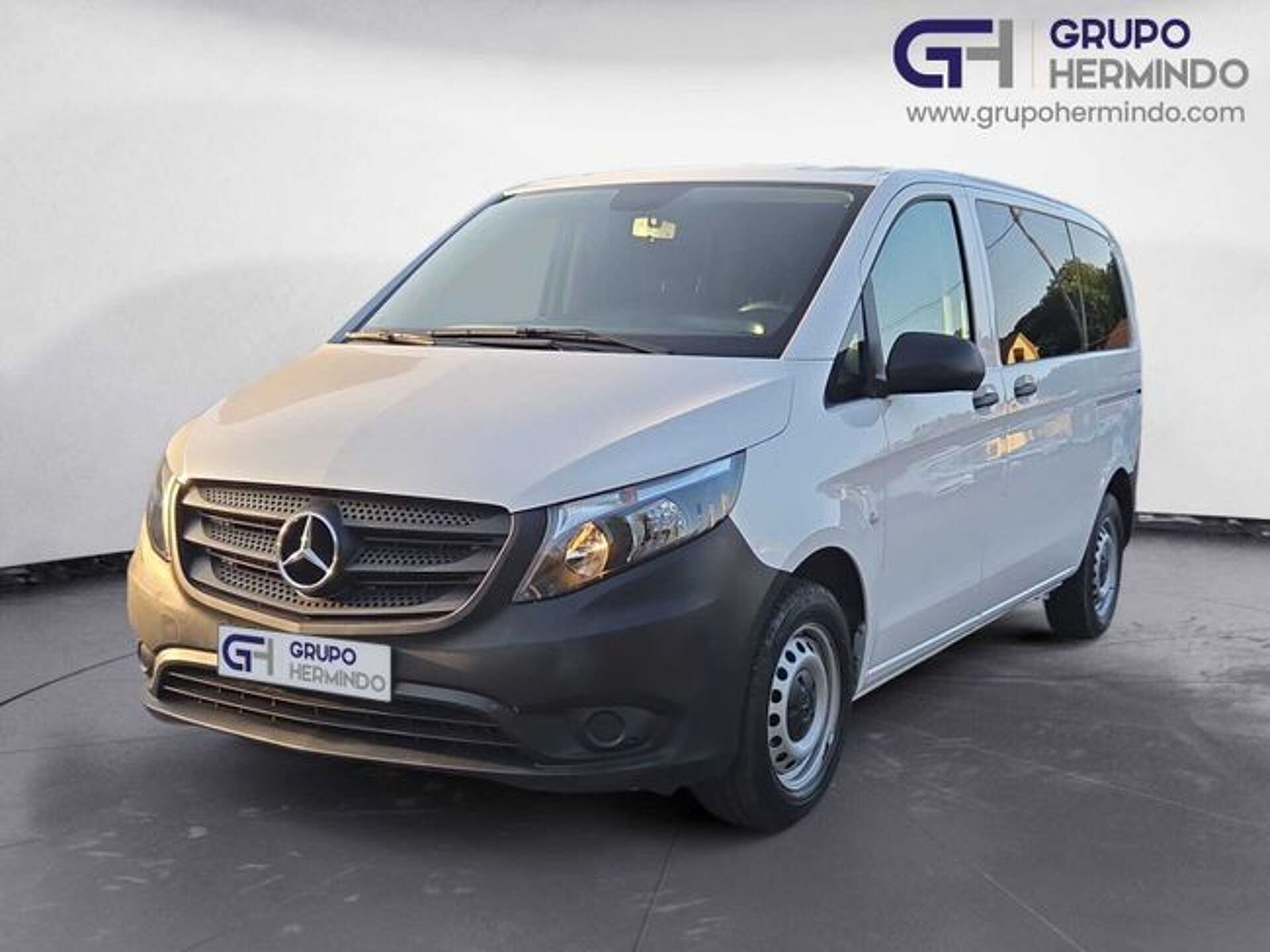 Imagen 2 de MERCEDES Vito