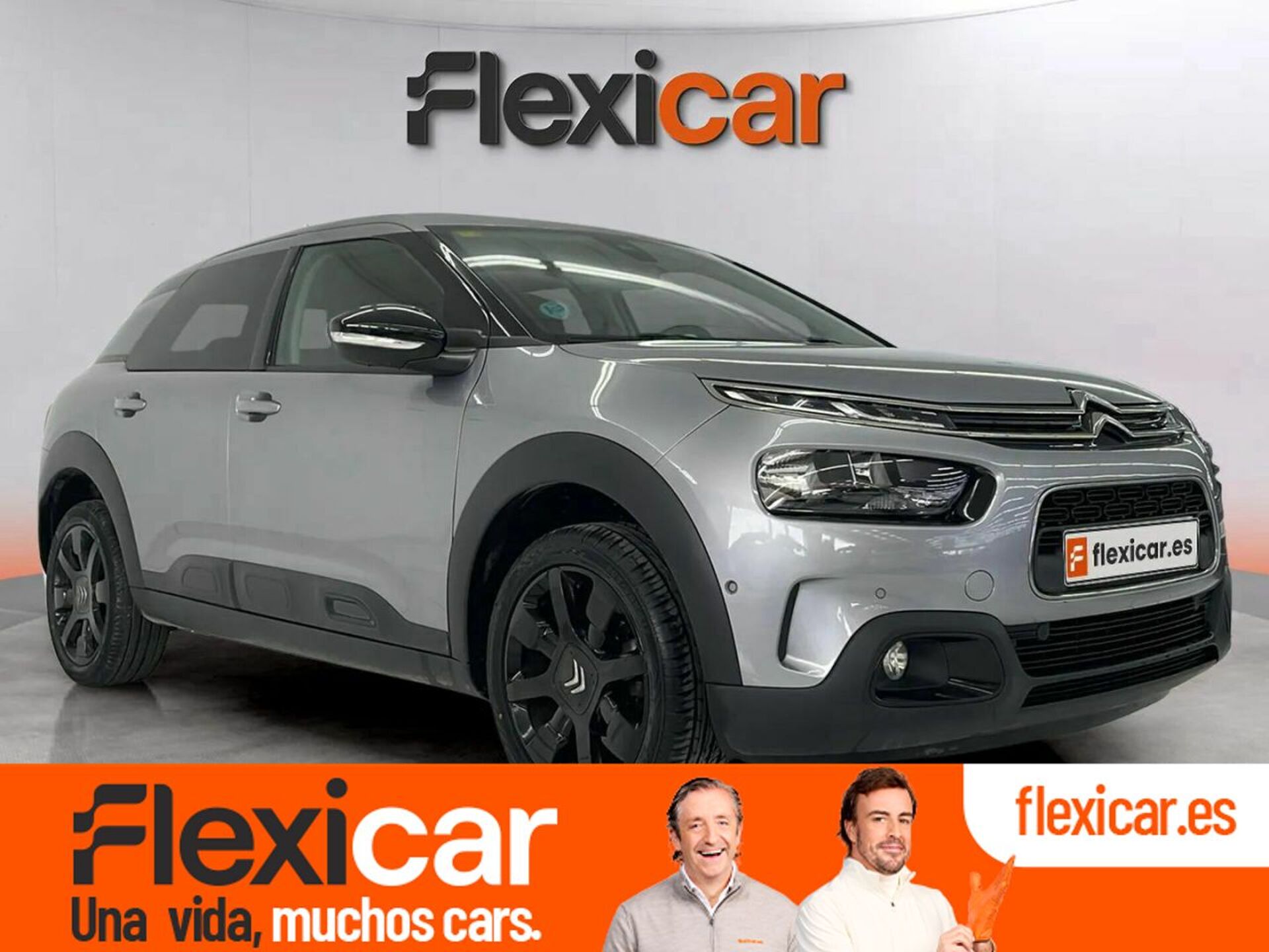 Imagen de CITROEN C4 Cactus