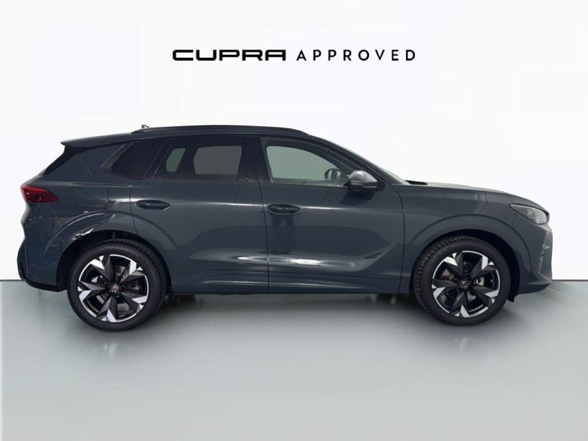 Imagen 3 de CUPRA Terramar