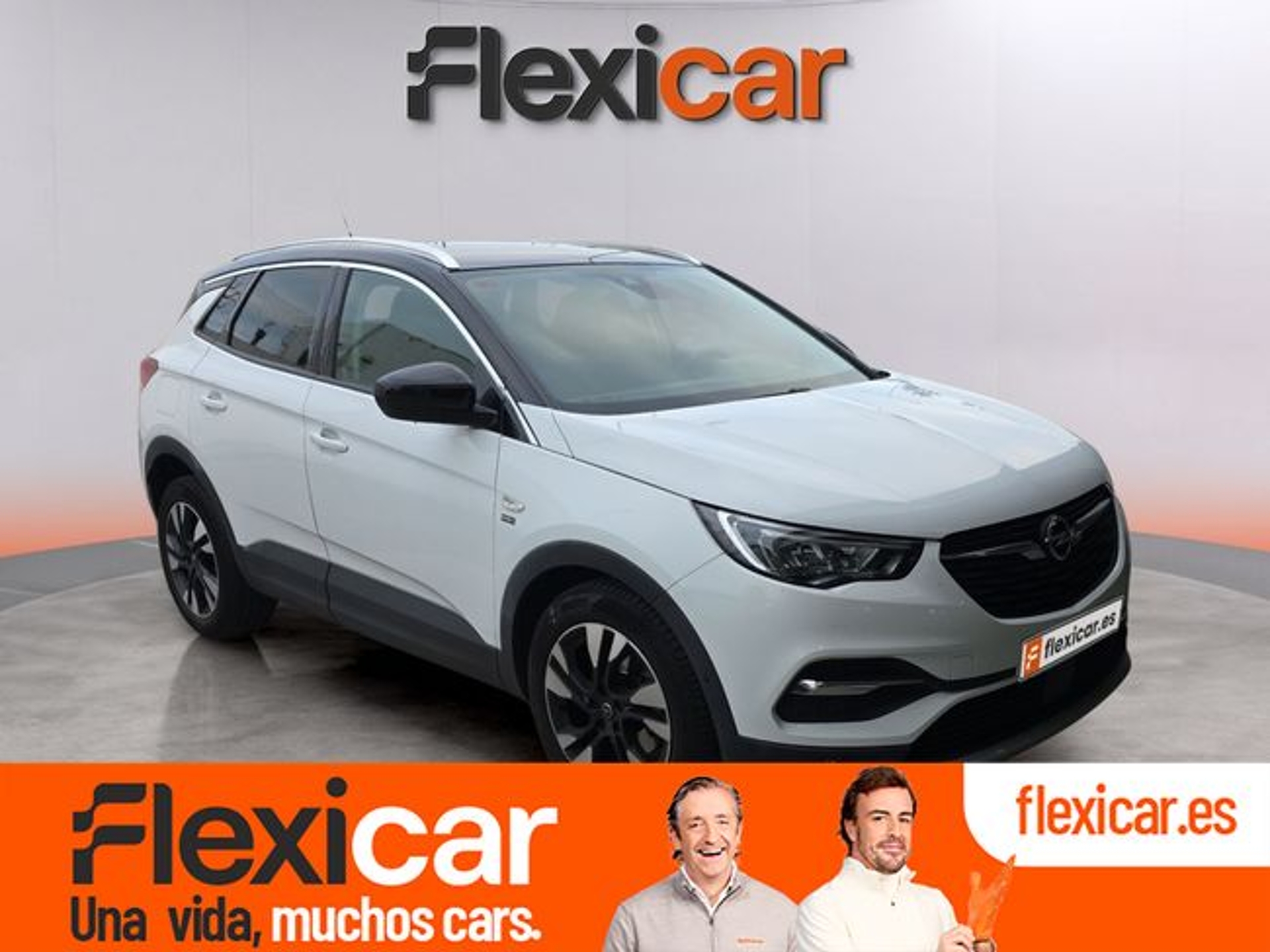 Imagen de OPEL Grandland X