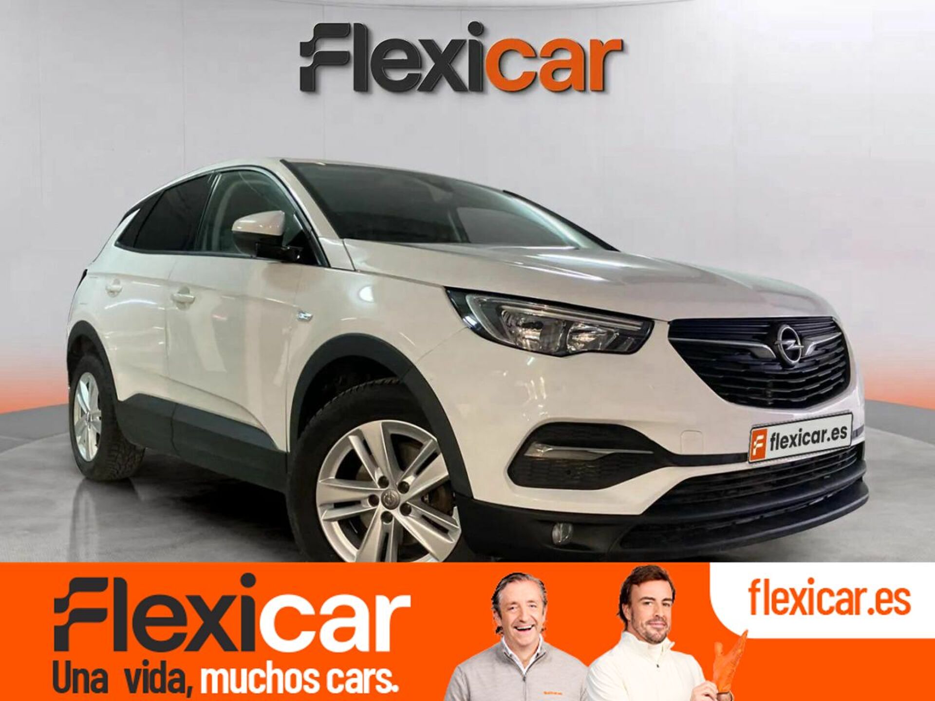 Imagen de OPEL Grandland X