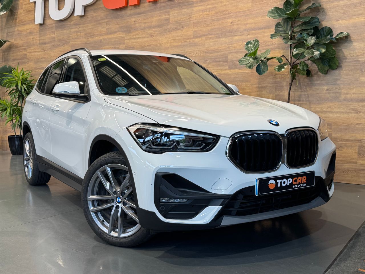 BMW X1 (1.8 Sdrive Auto) en Vizcaya