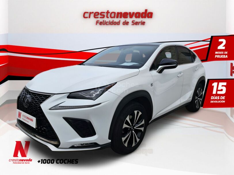 Foto del LEXUS NX 300h F Sport Panorámico 4WD