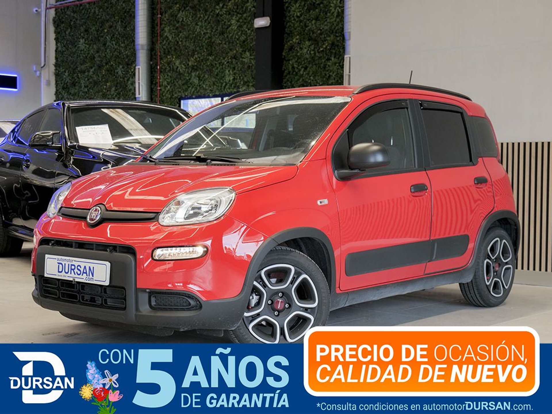 Imagen de FIAT Panda