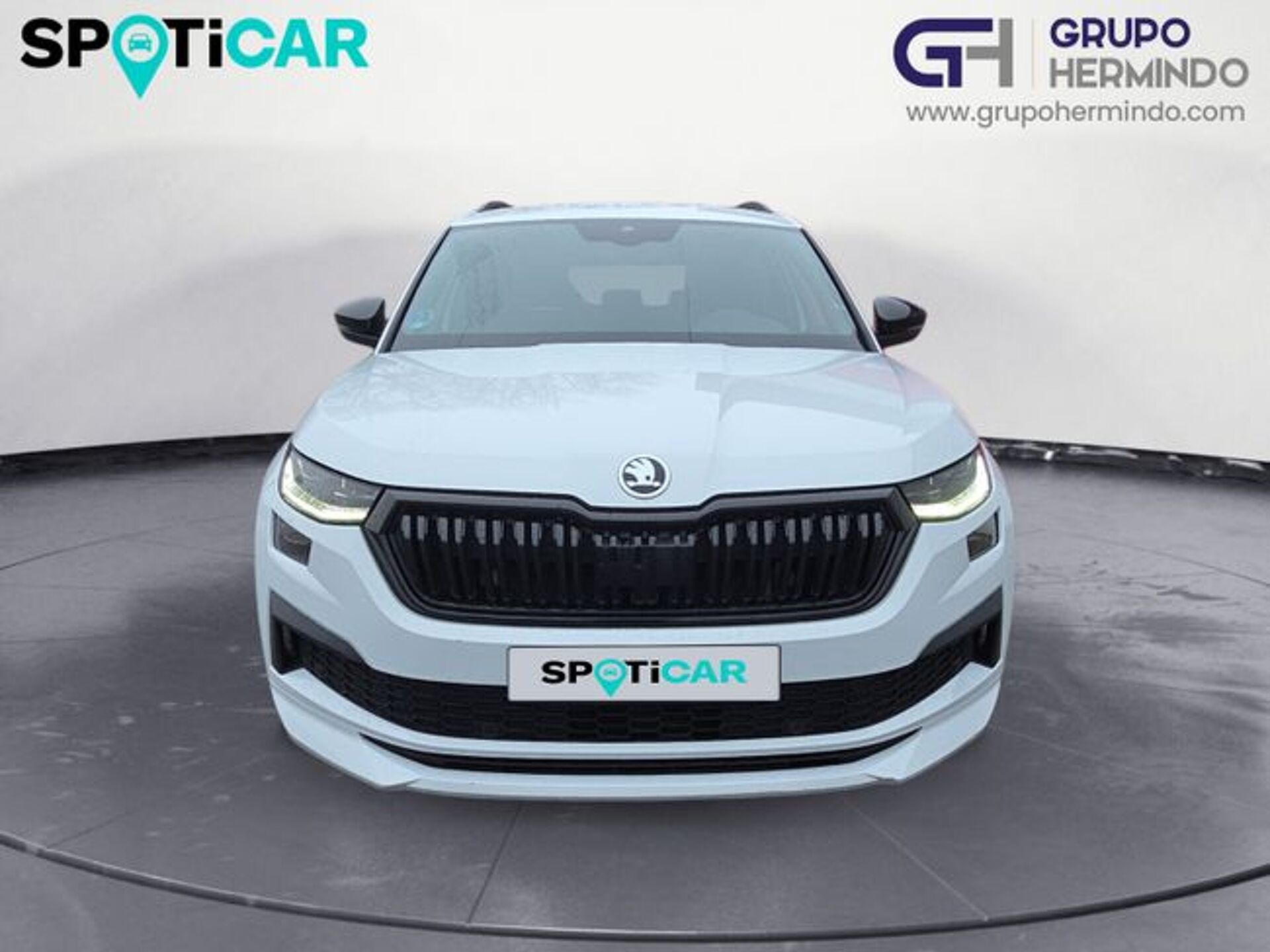 Imagen 3 de SKODA Kodiaq