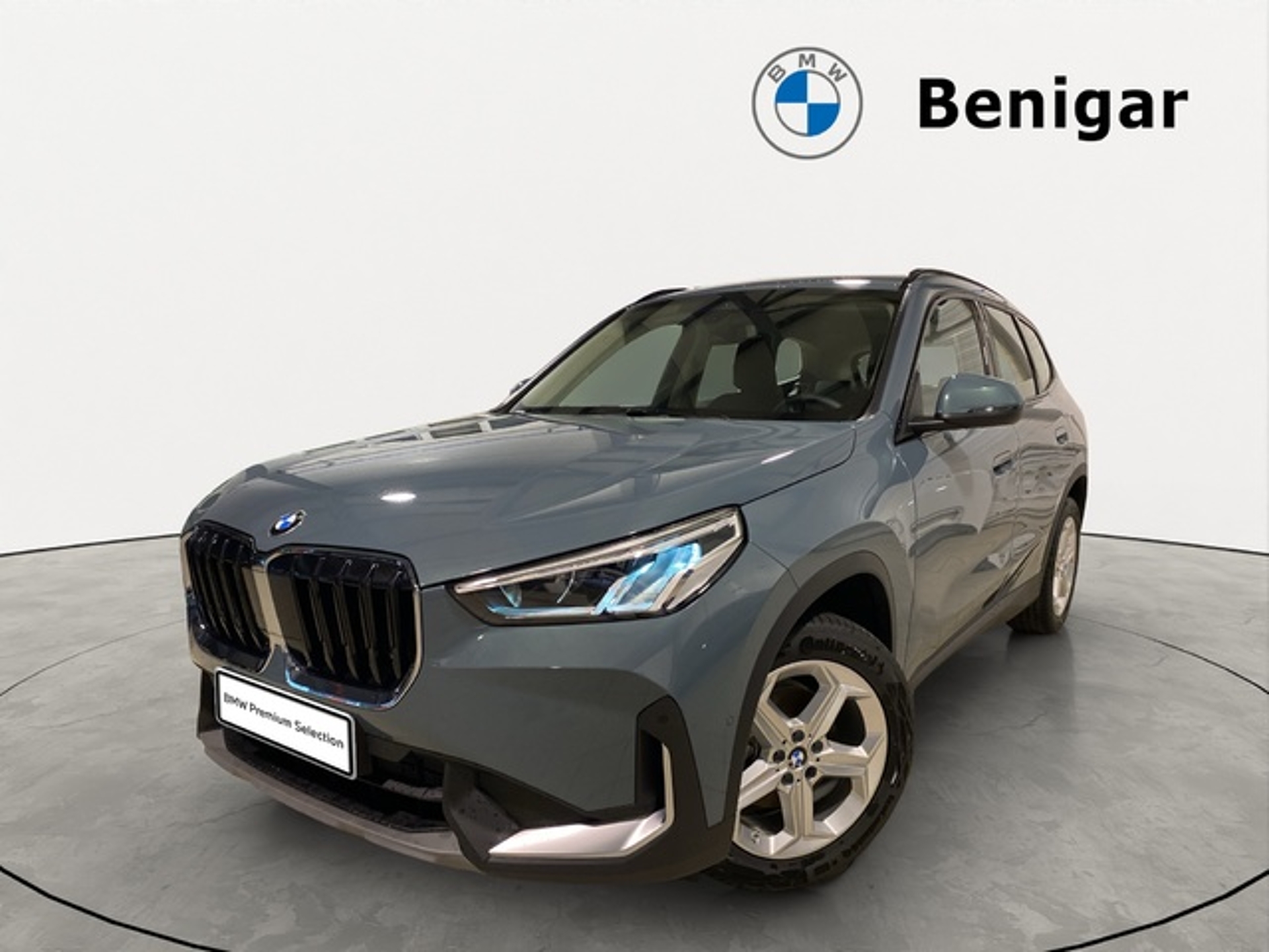 Imagen de BMW X1