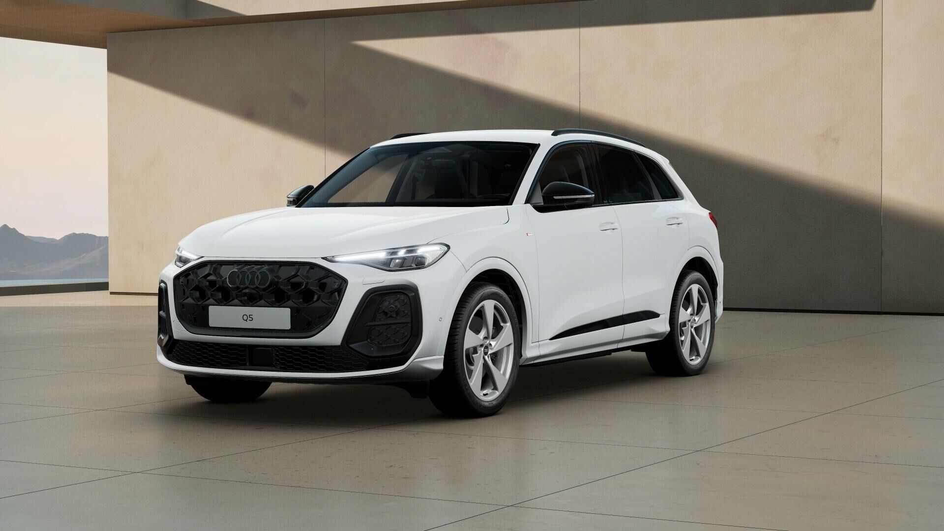 AUDI Q5 (S Line TDI quattro 150 kW (204 CV) S tronic) en Vizcaya