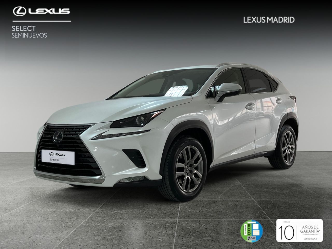 LEXUS NX (2.5 300h Executive Navigation 4WD) en Madrid
