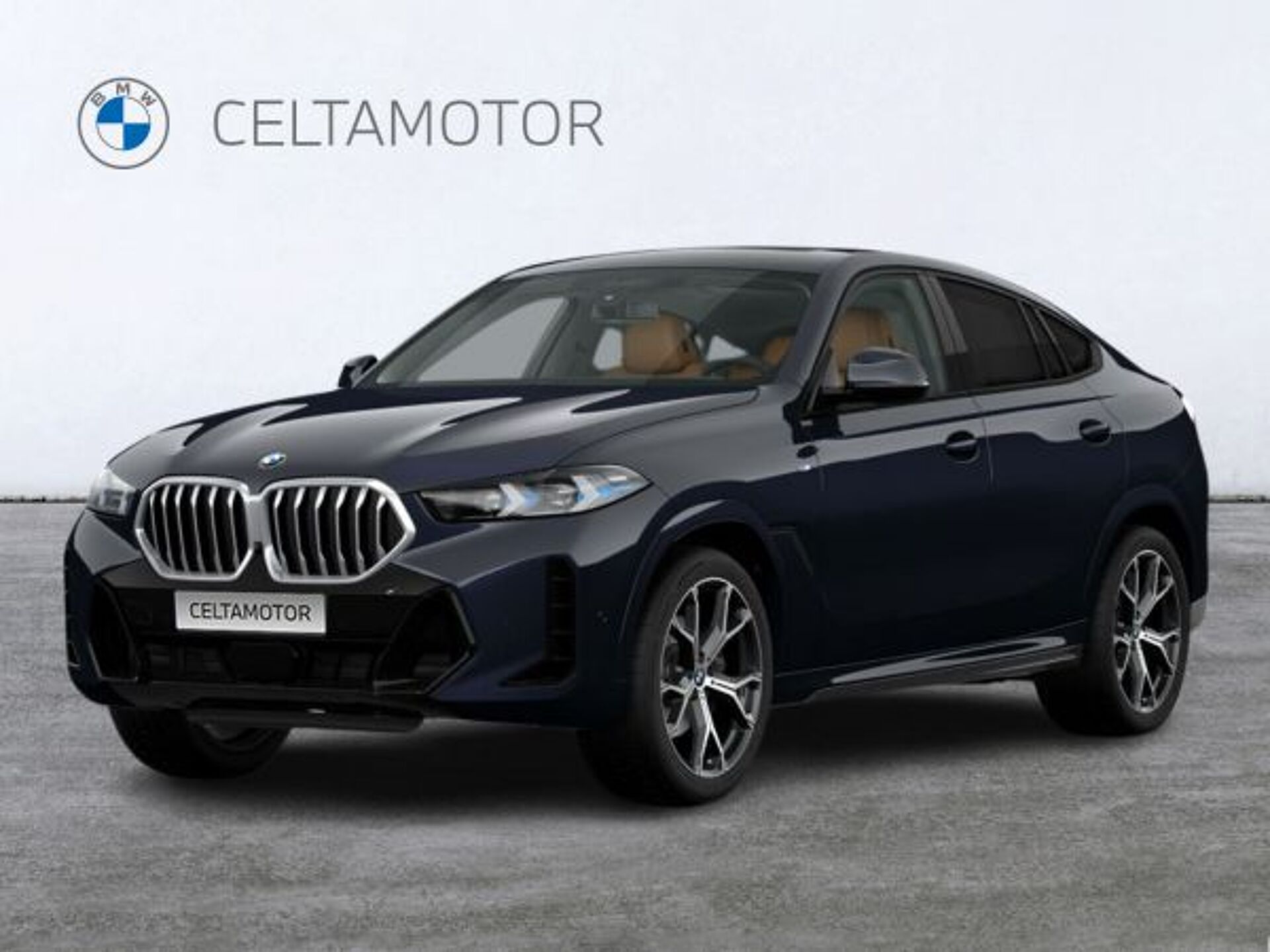 Imagen 1 de BMW X6