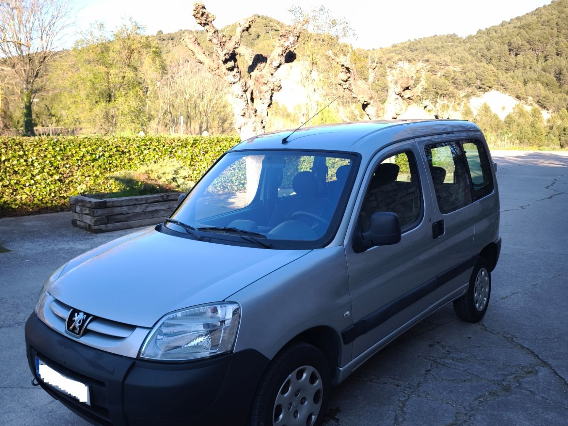 Imagen de PEUGEOT Partner