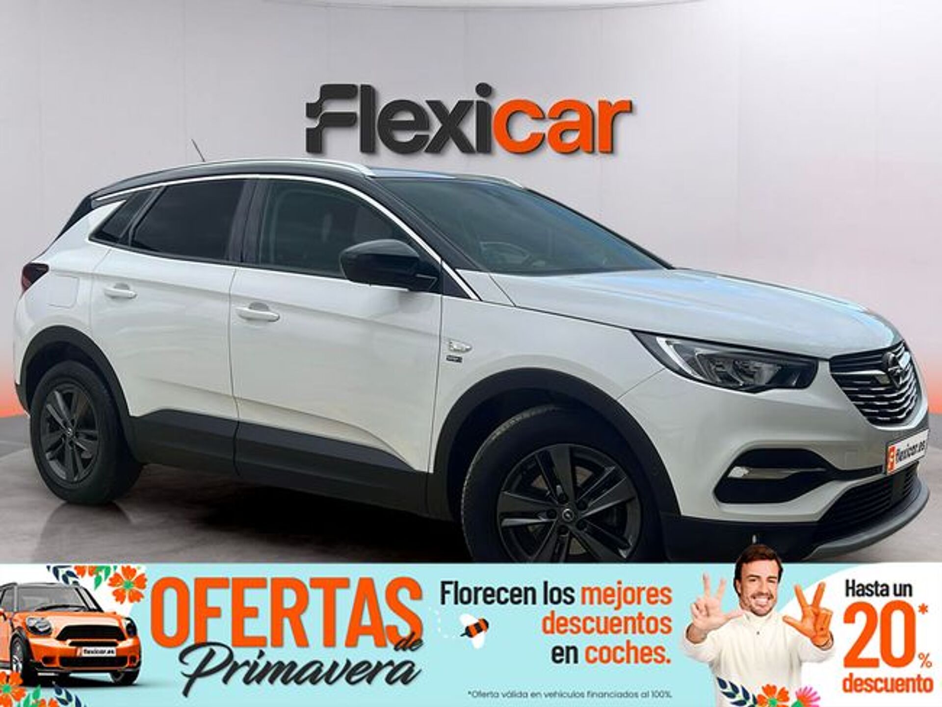 Imagen 1 de OPEL Grandland X