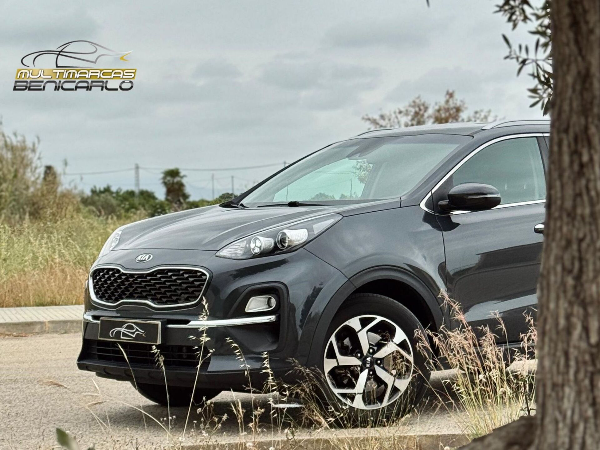 Imagen de KIA Sportage