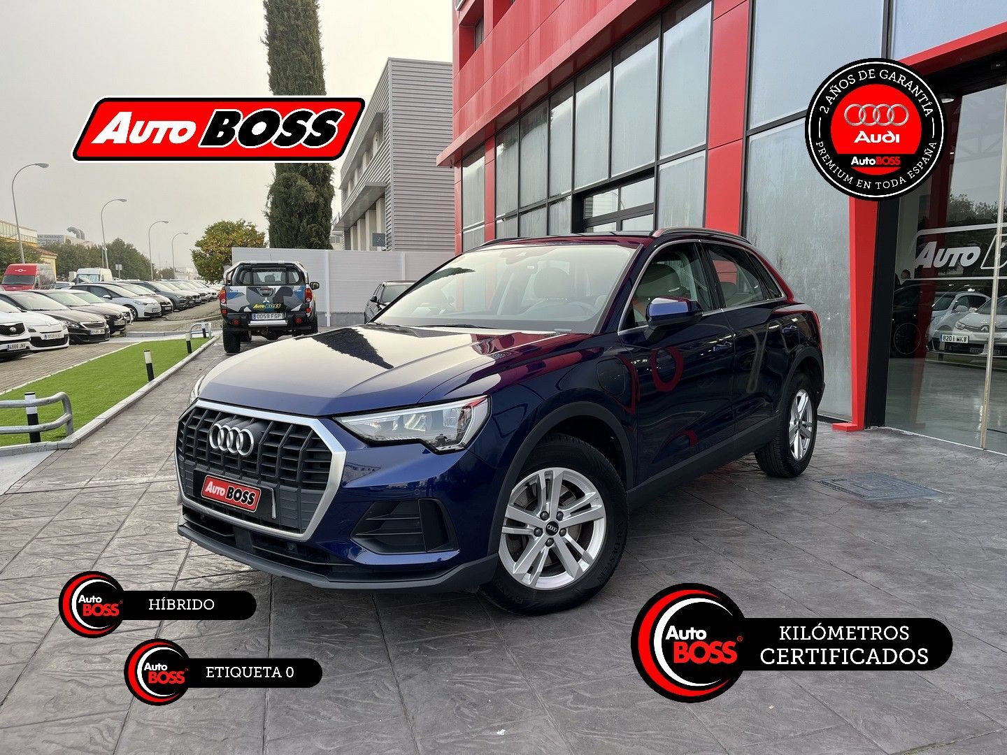 AUDI Q3 (45 TFSIe S-tronic) en Sevilla