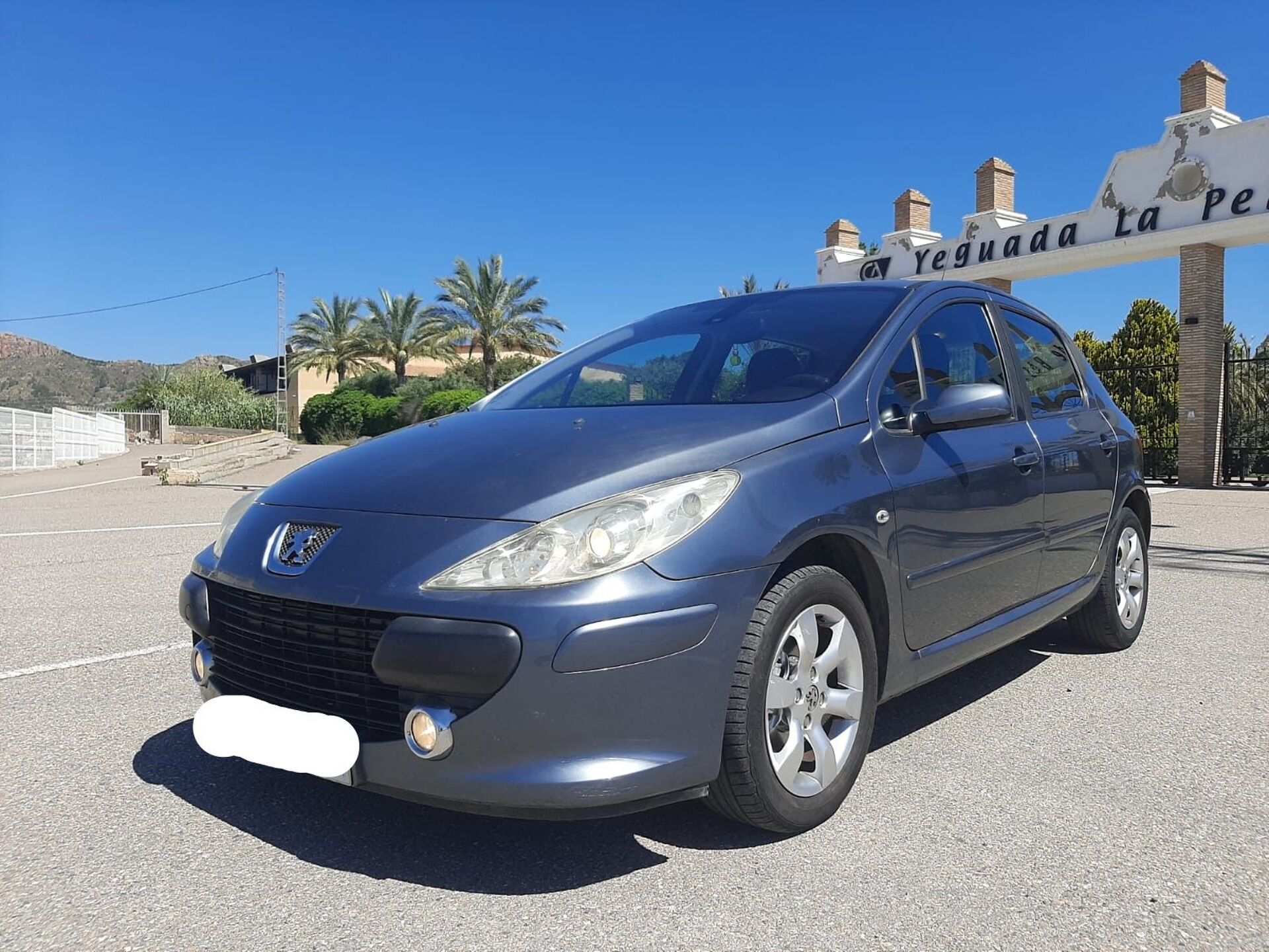 Imagen de PEUGEOT 307