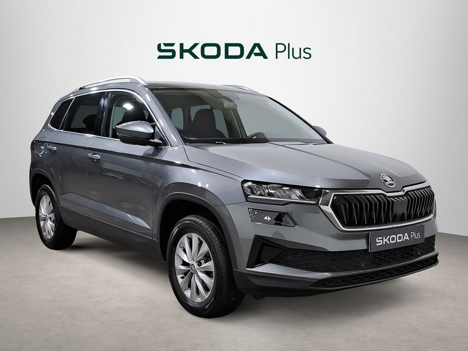 Imagen de SKODA Karoq