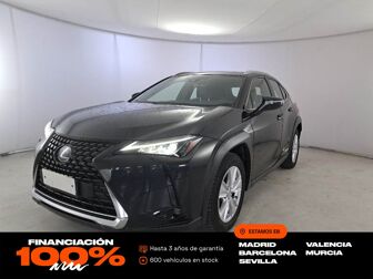 Imagen de LEXUS UX 250h Business Navigation 4WD