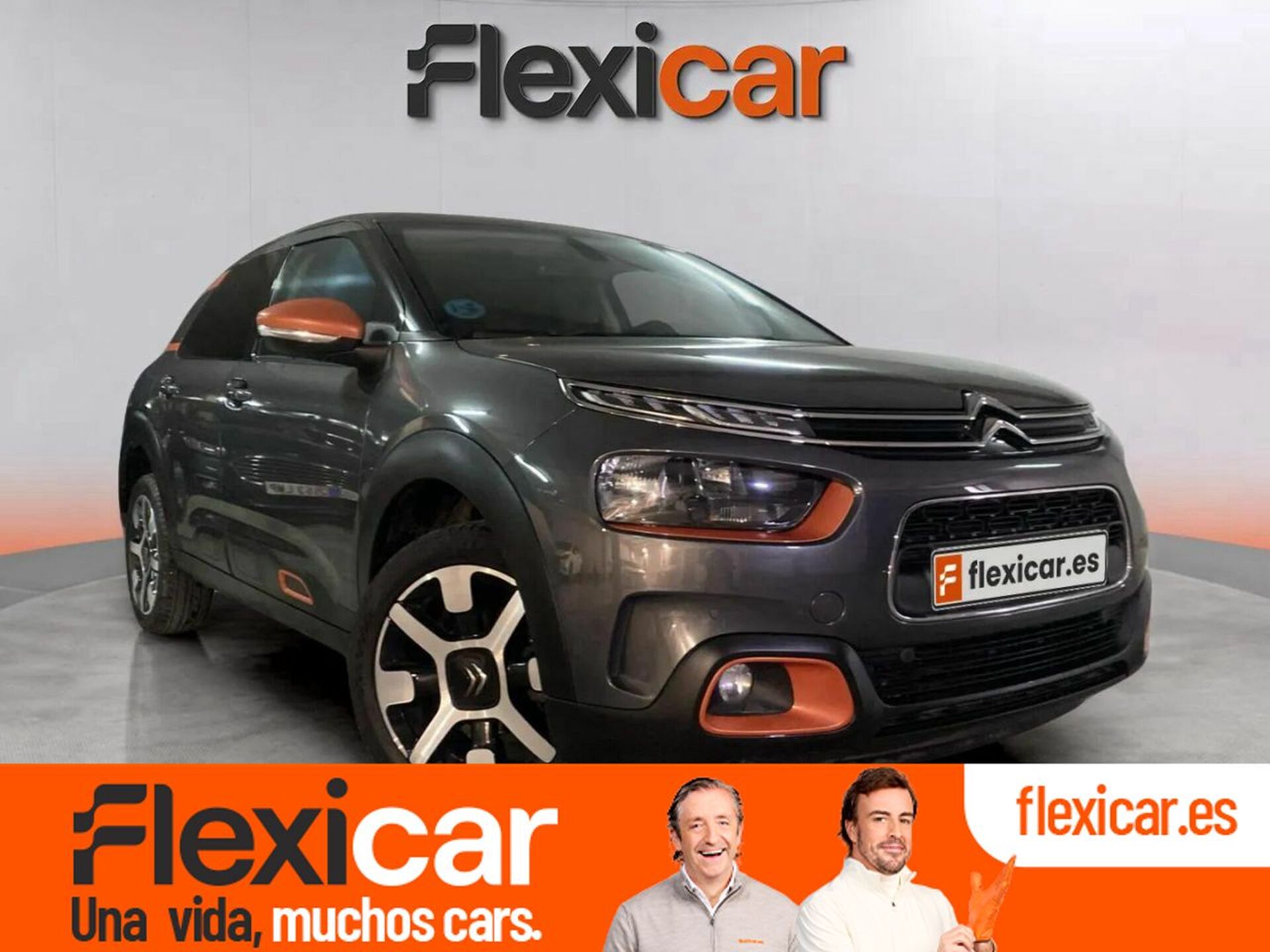 Imagen de CITROEN C4 Cactus