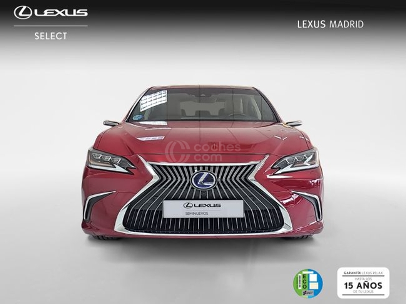 Foto del LEXUS ES 300h Luxury D-View