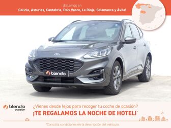 Imagen de FORD Kuga 1.5 EcoBoost ST-Line FWD 150