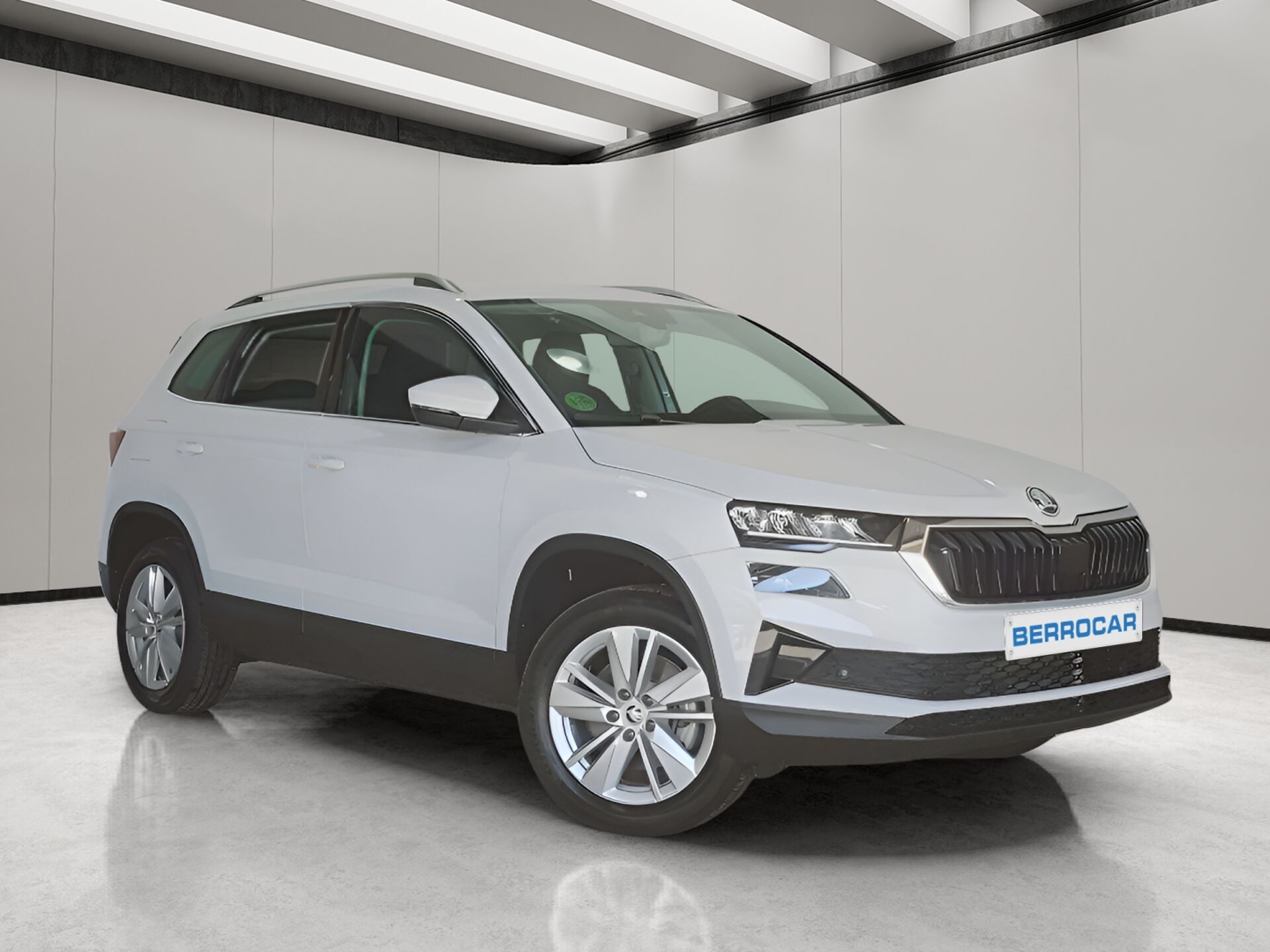 Imagen de SKODA Karoq