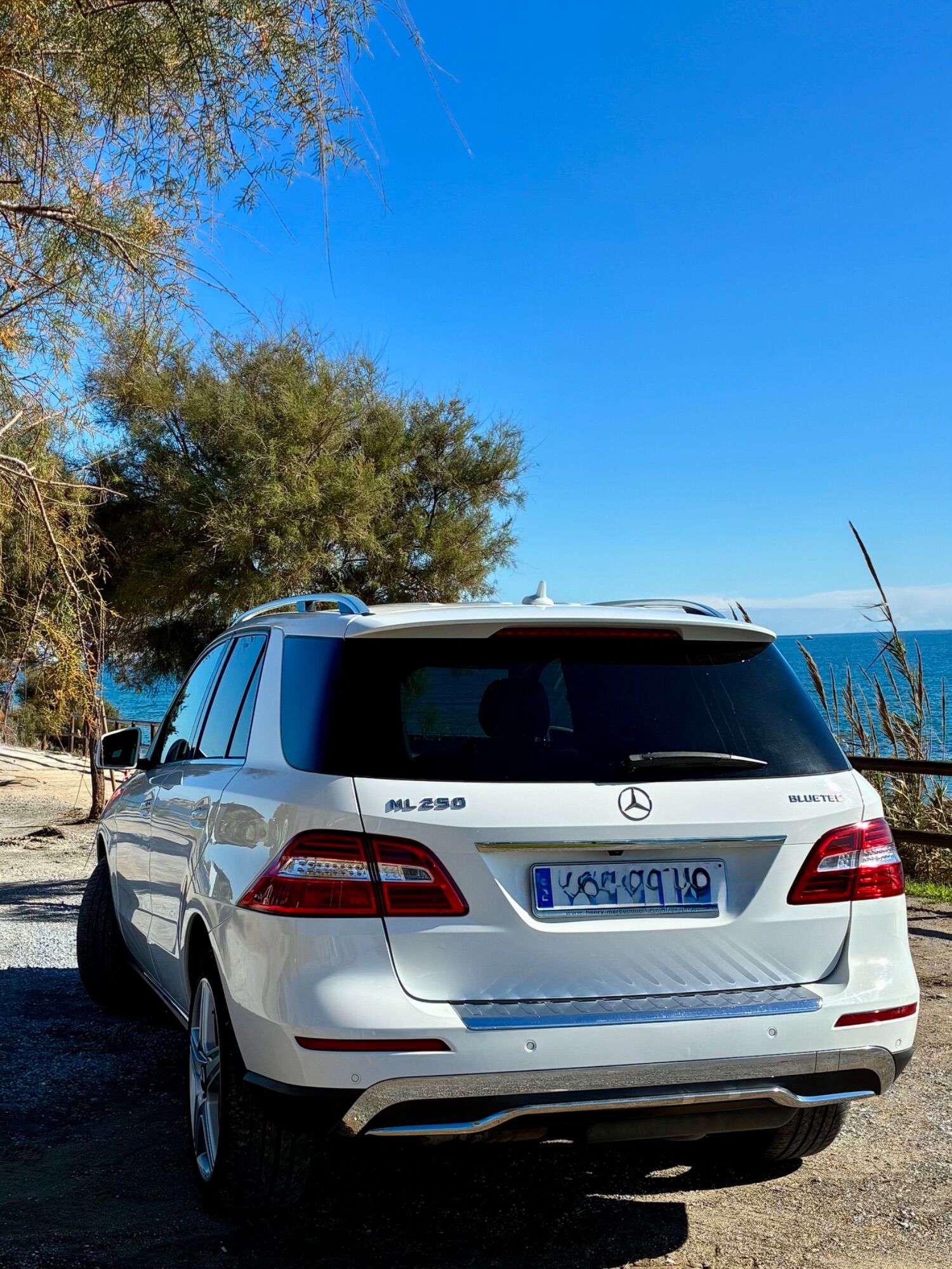 Foto del MERCEDES Clase M ML 250BlueTec 4M 7G Plus