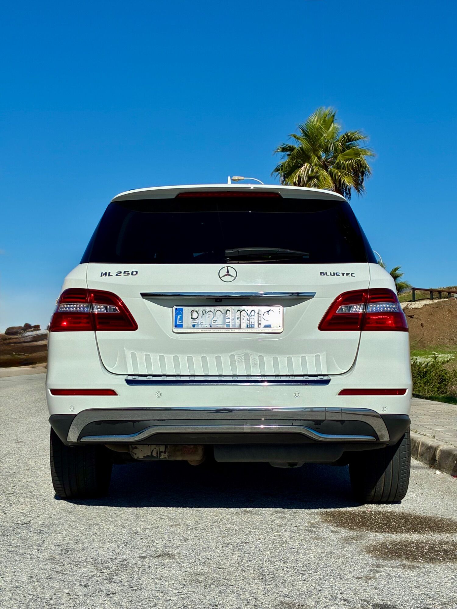 Foto del MERCEDES Clase M ML 250BlueTec 4M 7G Plus