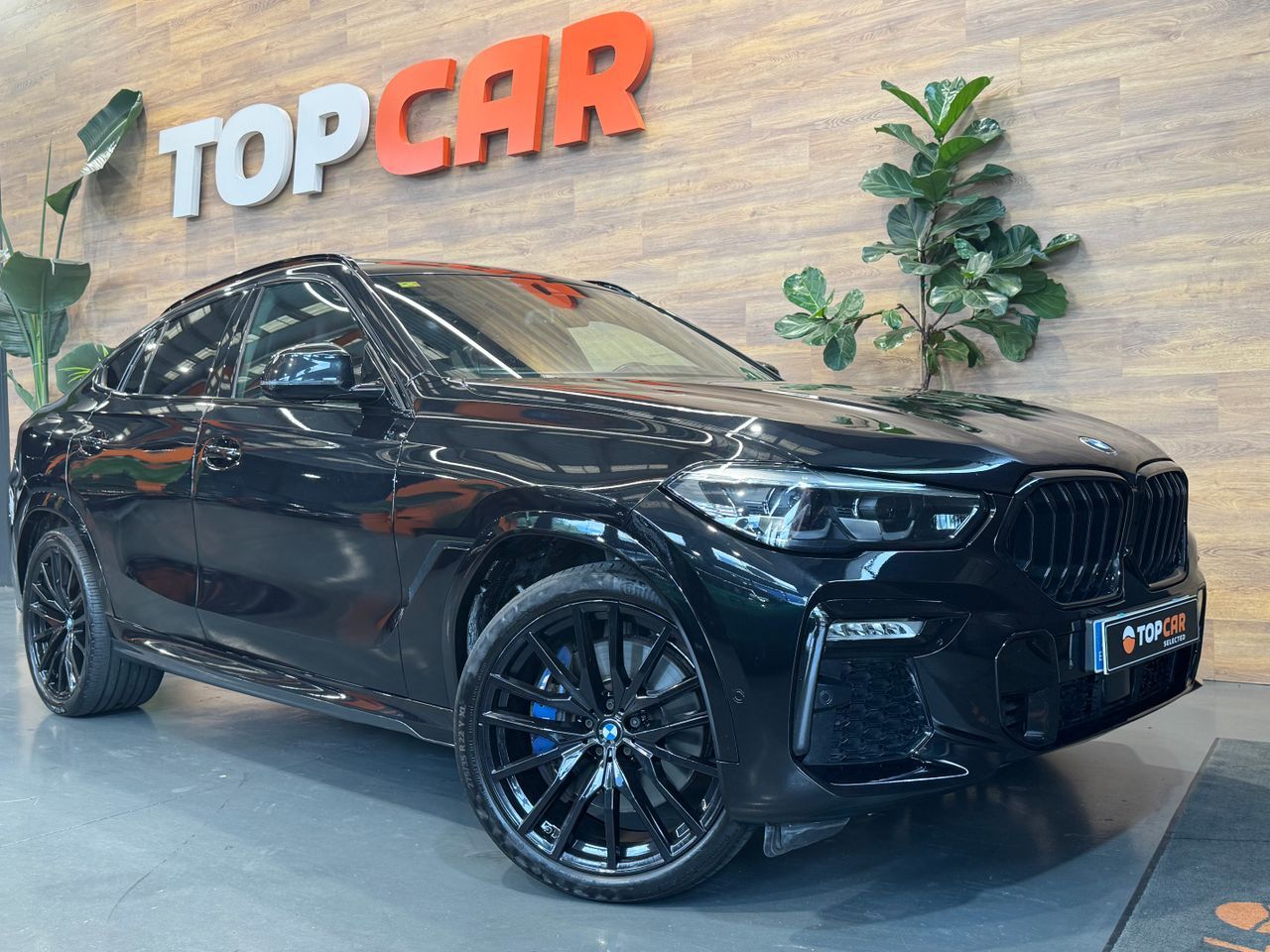BMW X6 (3.0 Xdrive Pack M) en Vizcaya