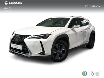 Imagen de LEXUS UX 250h Business 2WD