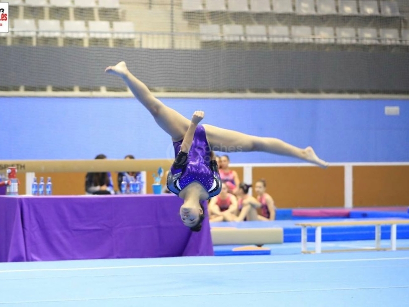 Foto del PORSCHE Cayenne E-Hybrid Aut.